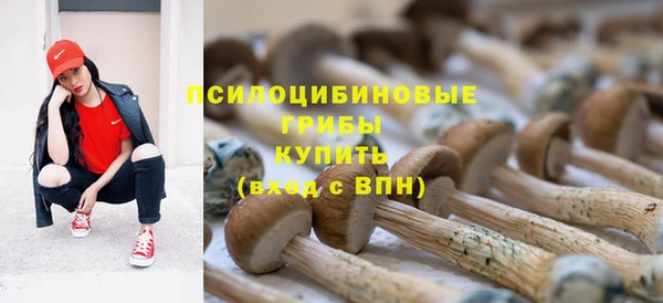 мескалин Баксан