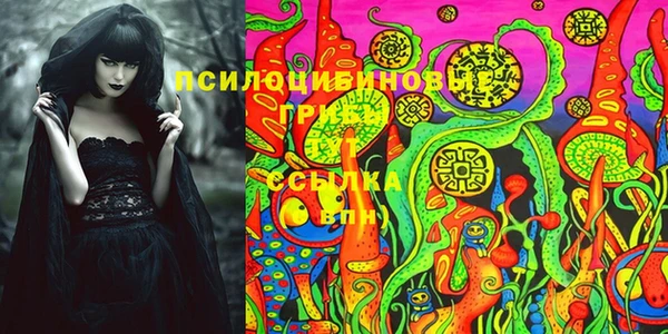 молекула духа Армянск