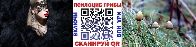 площадка официальный сайт  что такое наркотик  blacksprut вход  Лесозаводск  Псилоцибиновые грибы Cubensis 