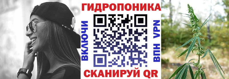 мориарти клад  как найти   Лесозаводск  Каннабис OG Kush 
